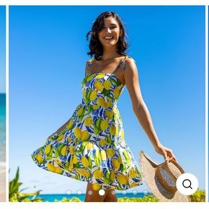 Kenny Flowers “the Positano mini resort dress”